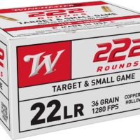 22 Long Rifle, 36 Grain, USA