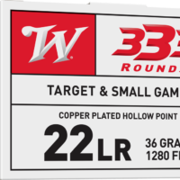 22 Long Rifle, 36 Grain, USA