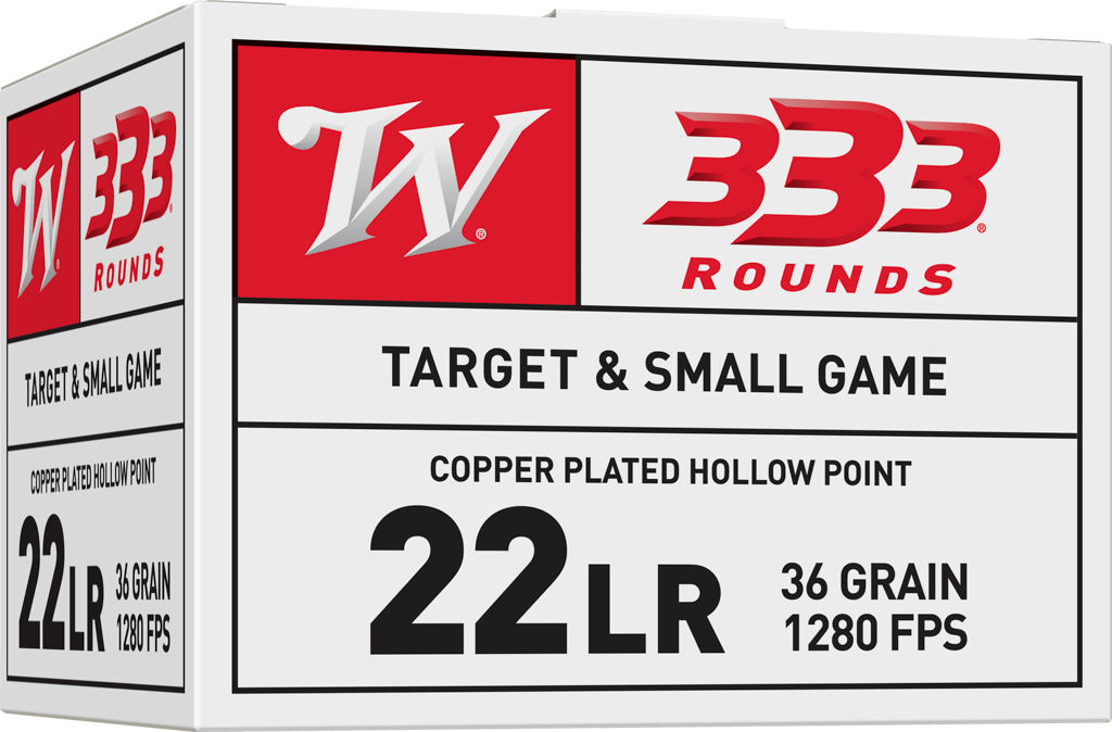 22 Long Rifle, 36 Grain, USA