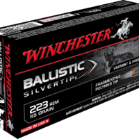 223 Remington, 55 Grain, Ballistic Silvertip
