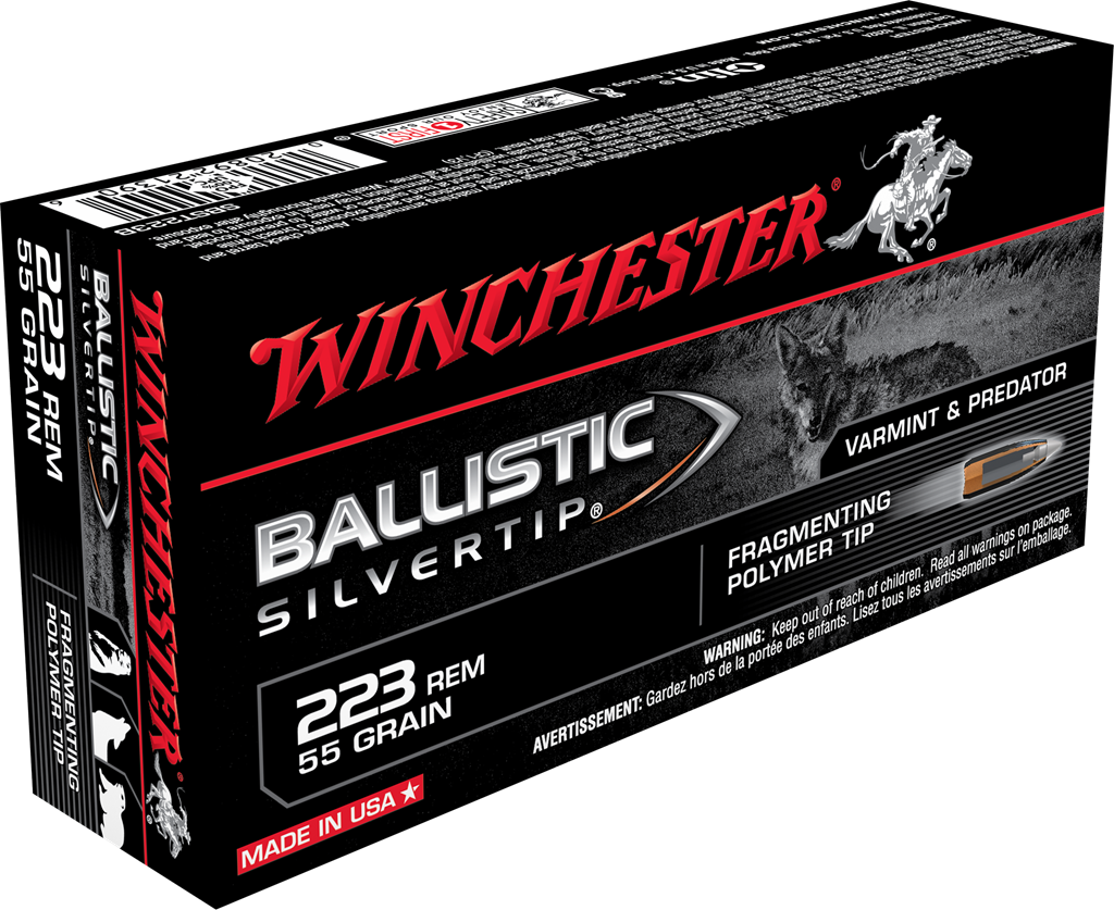 223 Remington, 55 Grain, Ballistic Silvertip