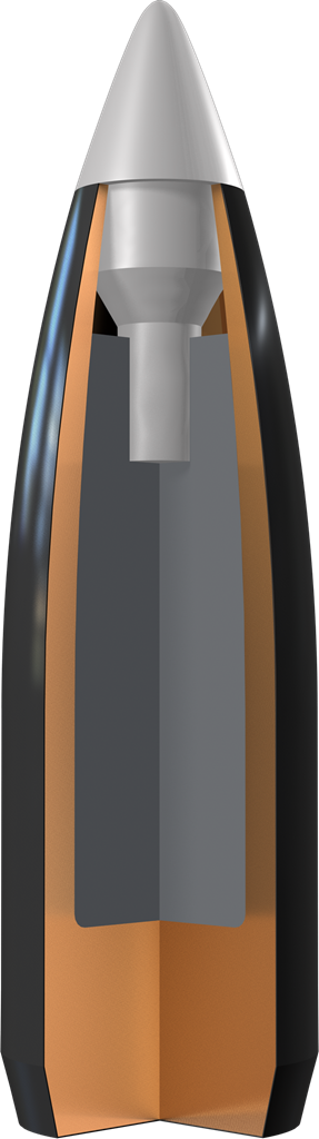 223 Remington, 55 Grain, Ballistic Silvertip - Image 5