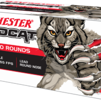 22 Long Rifle, 40 Grain, Wildcat