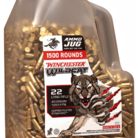 22 Long Rifle, 40 Grain, Wildcat