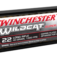 22 Long Rifle, 40 Grain, Wildcat