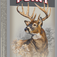 22-250 Remington, 64 Grain, Power-Point