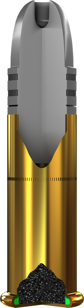 22 Long Rifle, 26 Grain, Varmint LF - Image 6