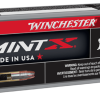 22 Long Rifle, 40 Grain, Varmint HV